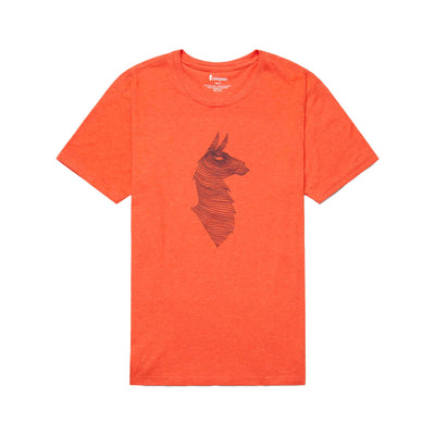Cotopaxi Men's Topo Llama T-Shirt 2024 CANYON