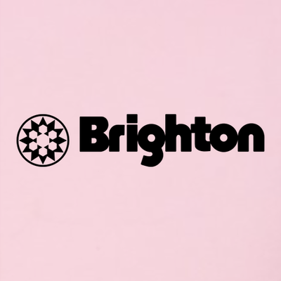 Brighton Adult Hoodie Black Chest and Back Logo Pink 