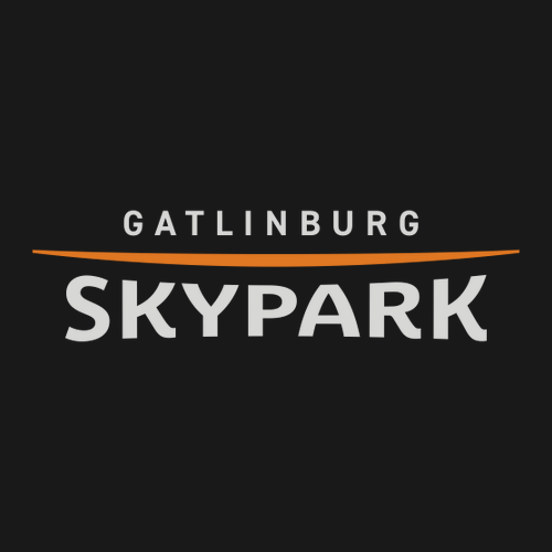 Gatlinburg SkyPark Adult Crewneck Full Color Chest Logo Black