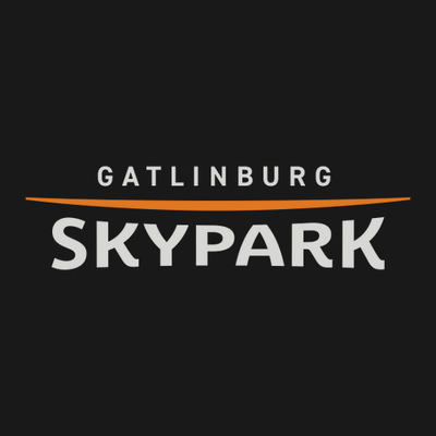 Gatlinburg SkyPark Adult Crewneck Full Color Chest Logo Black