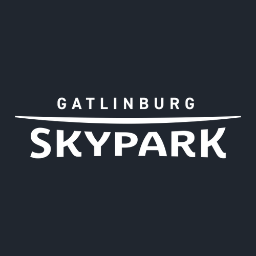 Gatlinburg SkyPark Adult T-Shirt White Chest Logo Navy