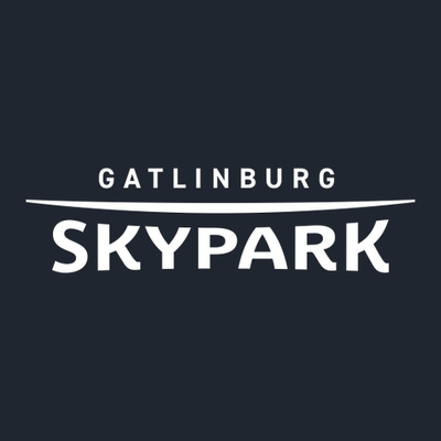 Gatlinburg SkyPark Adult T-Shirt White Chest Logo Navy