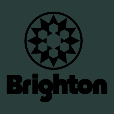 Brighton Adult Hoodie Black Chest and Back Logo Forest 