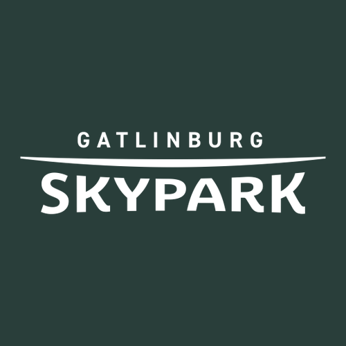 Gatlinburg SkyPark Adult Hoodie White Chest and Back Logo Forest