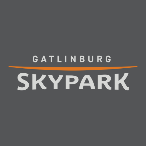 Gatlinburg SkyPark Adult Crewneck Full Color Chest Logo Asphalt
