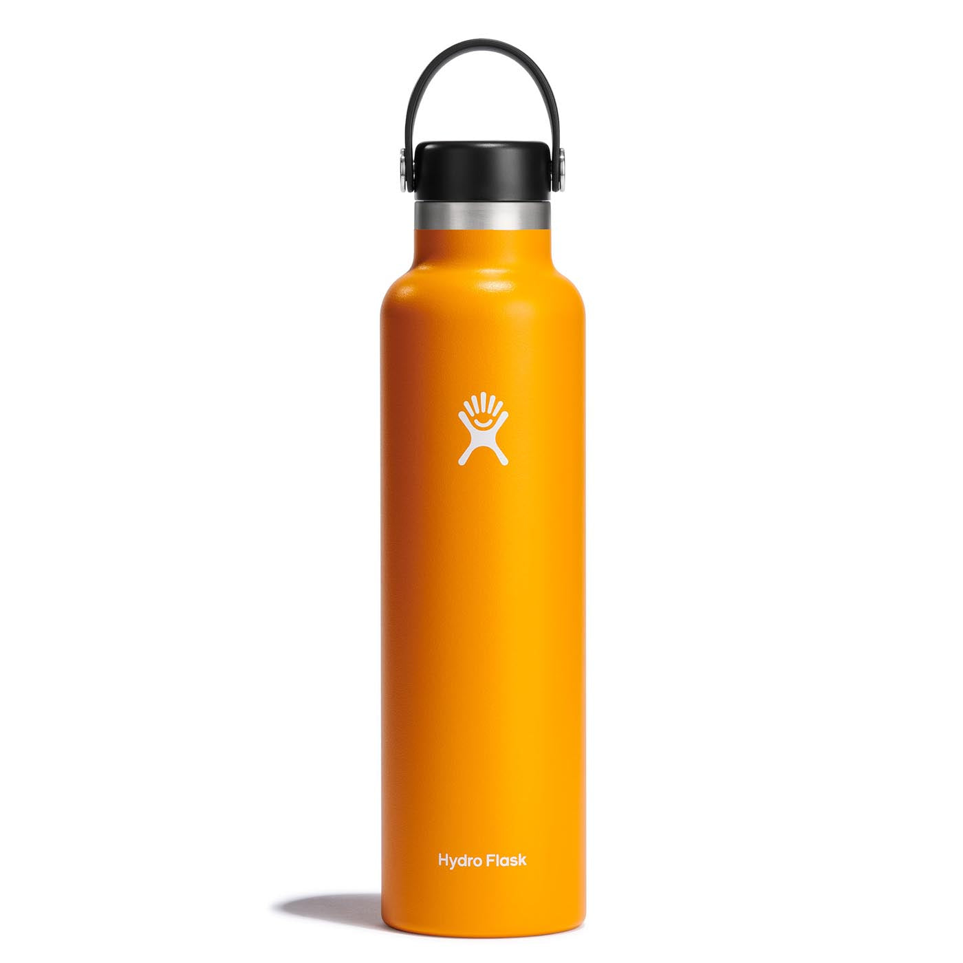 Hydro Flask 24oz Standard Mouth Bottle with Flex Cap 2024 STARFISH