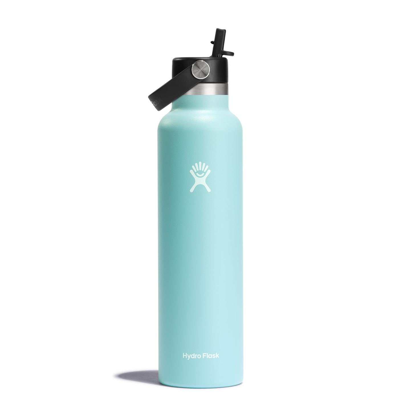 Hydro Flask 24oz Standard Mouth Bottle with Straw Cap 2024 DEW