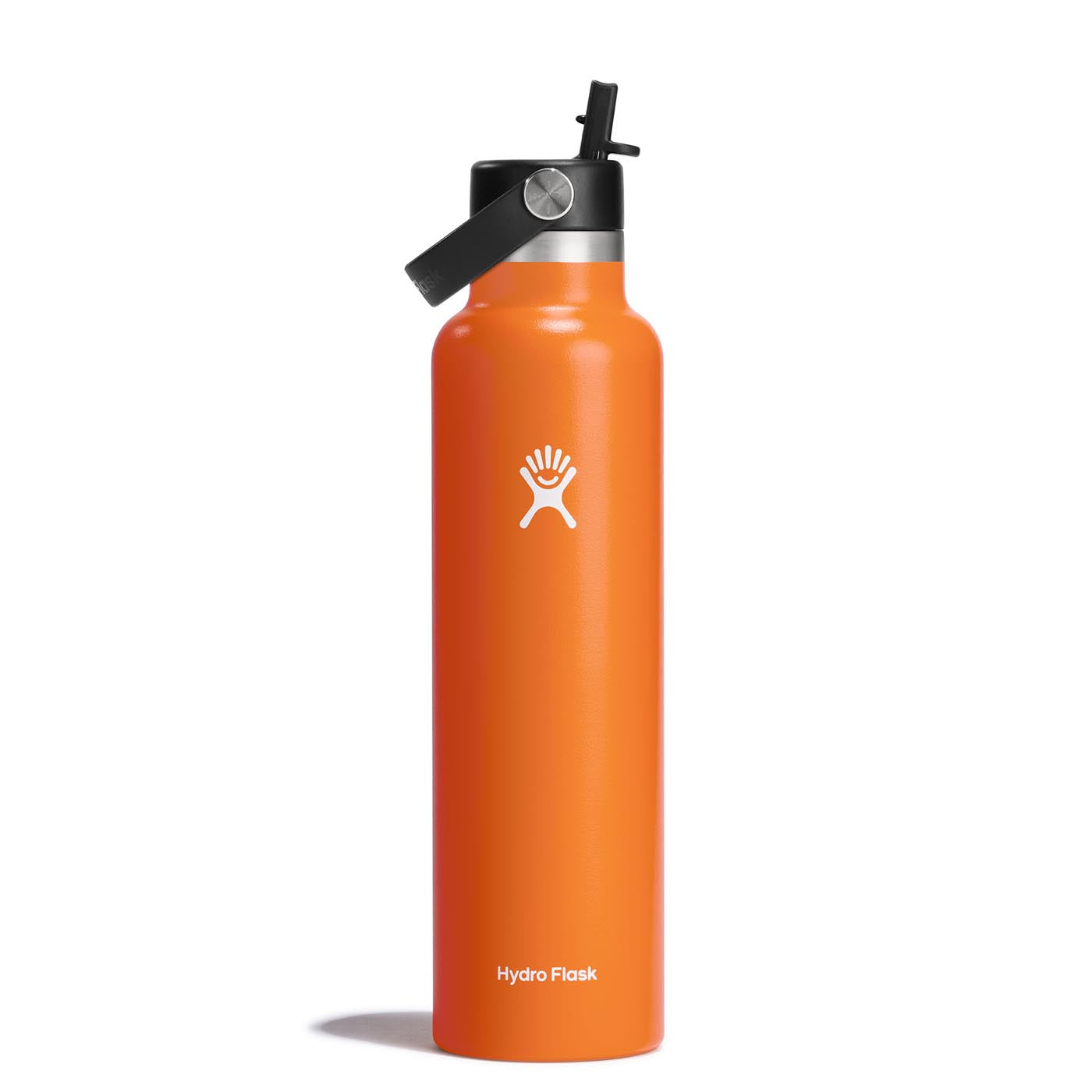 Hydro Flask 24oz Standard Mouth Bottle with Straw Cap 2024 MESA