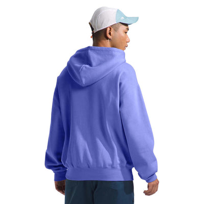 The North Face Men's Evolution Vintage Hoodie 2025