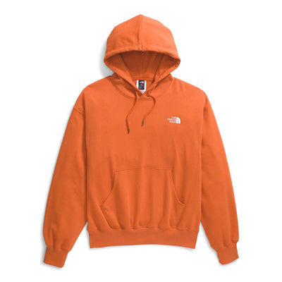 The North Face Men's Evolution Vintage Hoodie 2025 6IG IRON BRONZE