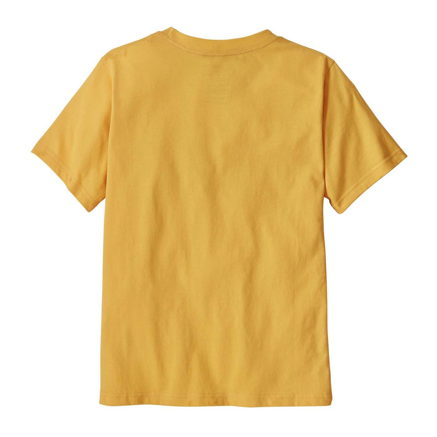 Patagonia Junior's P-6 Logo T-Shirt 2025