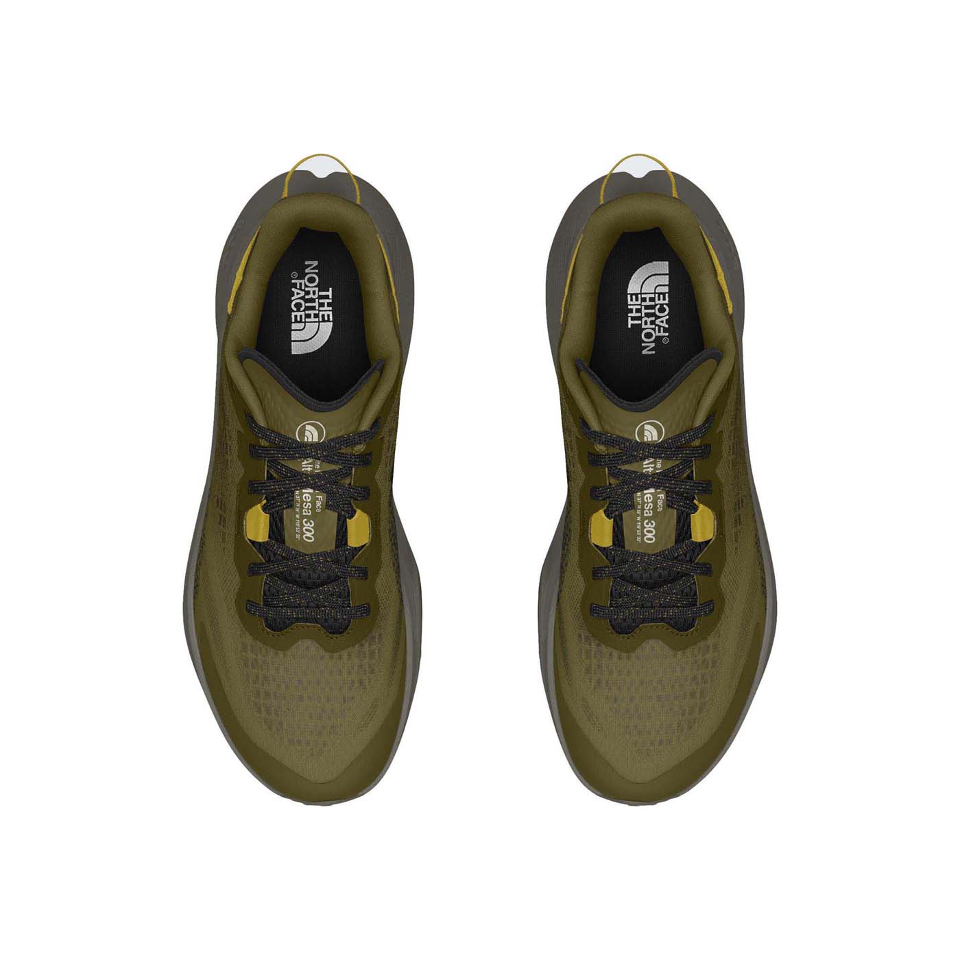 The North Face Men's Altamesa 300 Shoes 2025