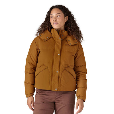 Patagonia Women's Downdrift Jacket 2026