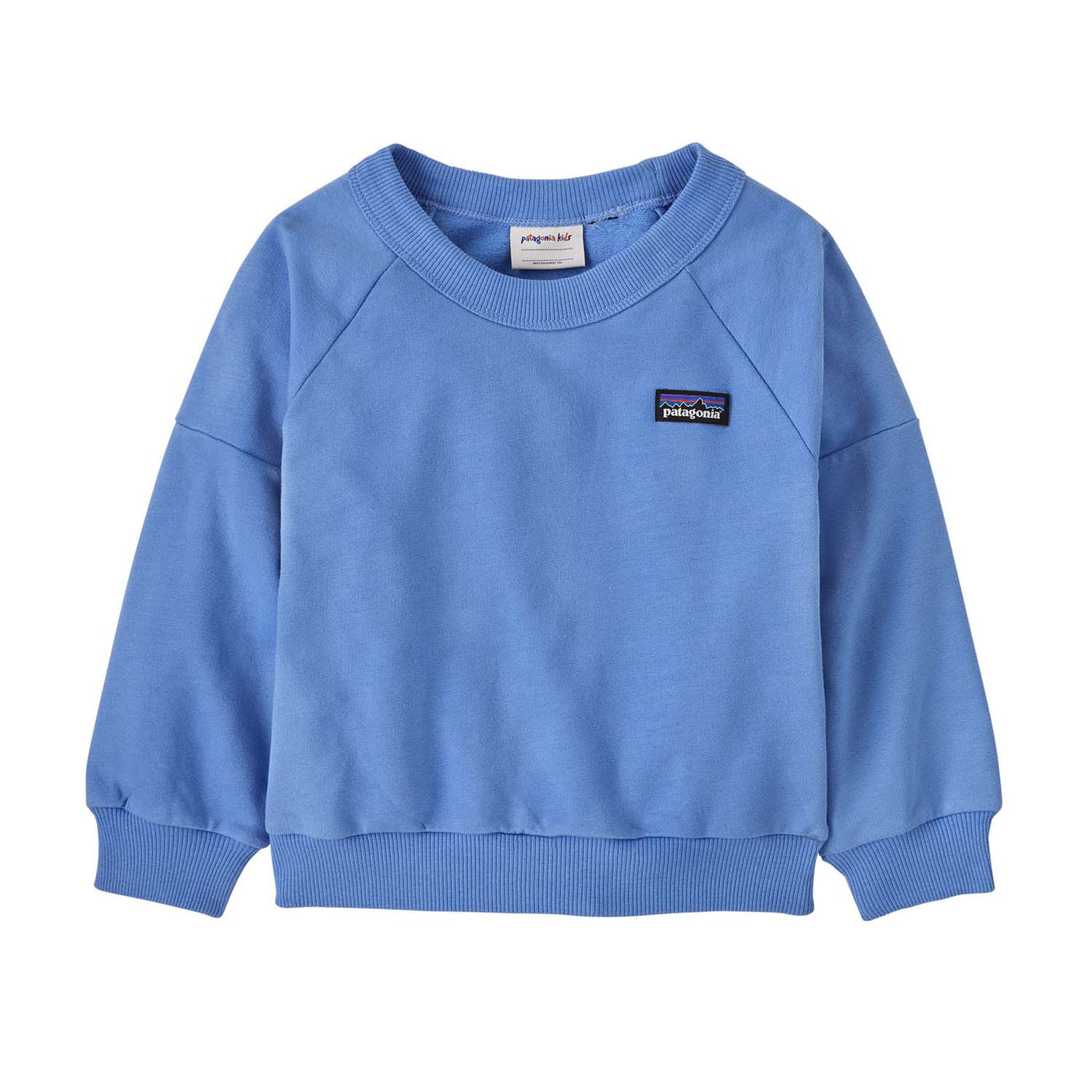 Patagonia Toddler's Crewneck Sweatshirt 2025 ABNB ABUNDANT BLUE