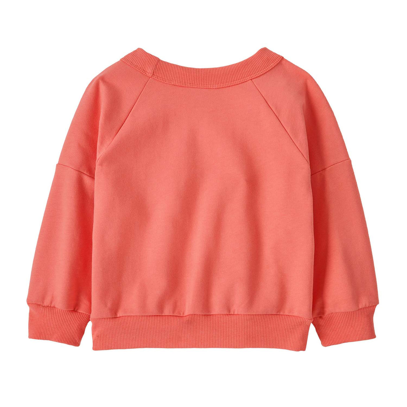 Patagonia Toddler's Crewneck Sweatshirt 2025