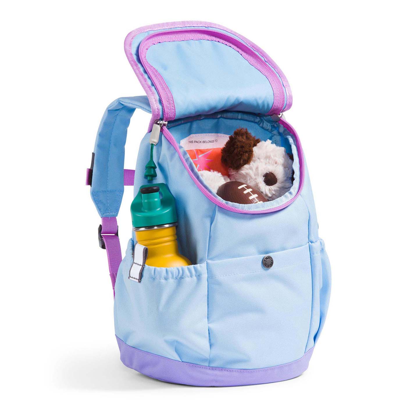 The North Face Junior's Mini Explorer Backpack 2025