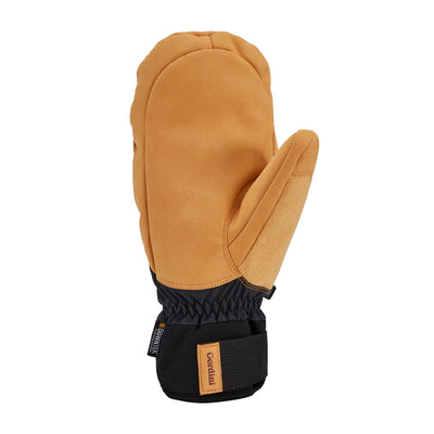 Gordini Men's MTN Crew Artist Mitts 2025