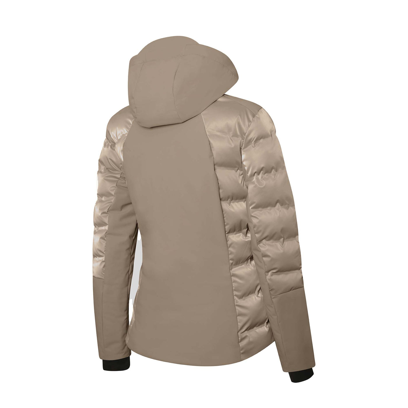 rh+ Women's Artemide Evo Jacket 2025