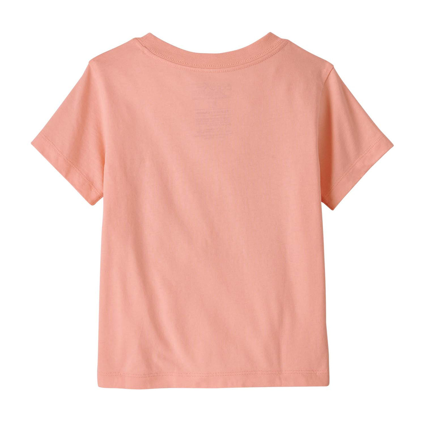 Patagonia Toddler's Fitz Roy Skies T-Shirt 2025