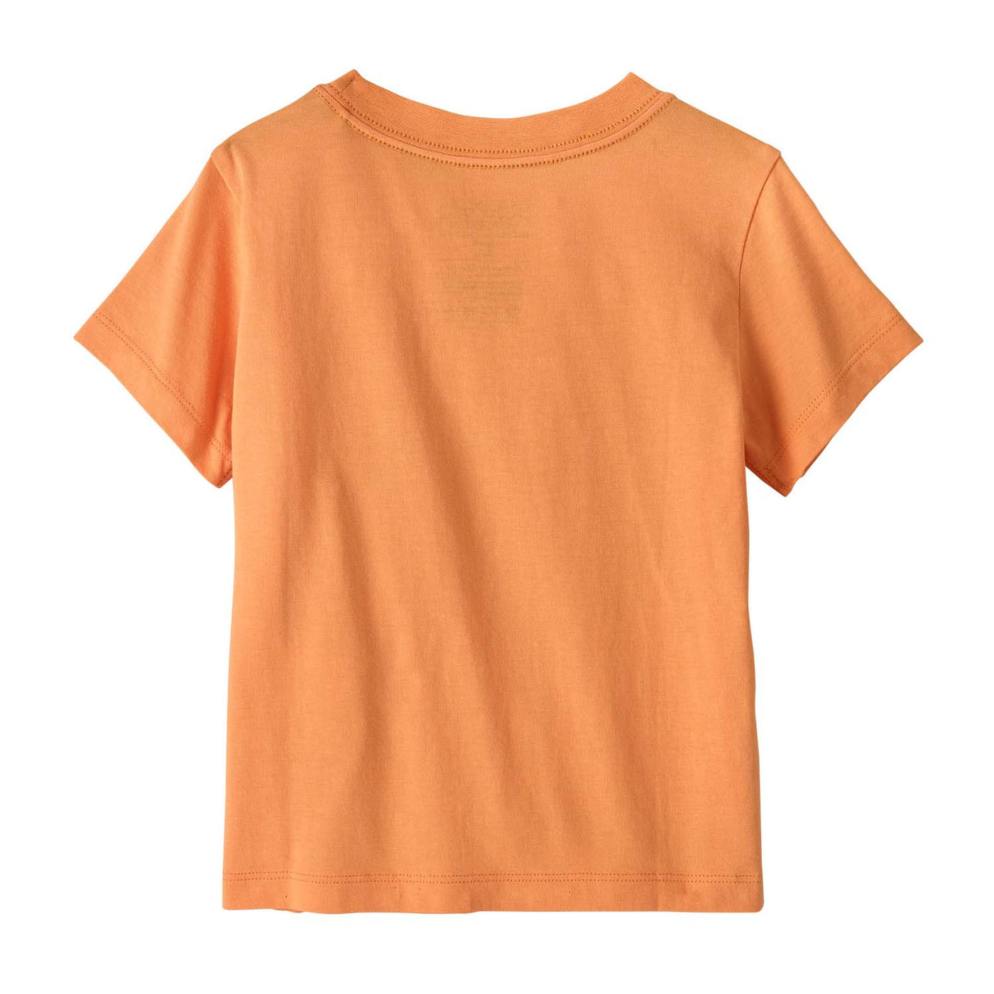 Patagonia Toddler's Graphic T-Shirt 2025