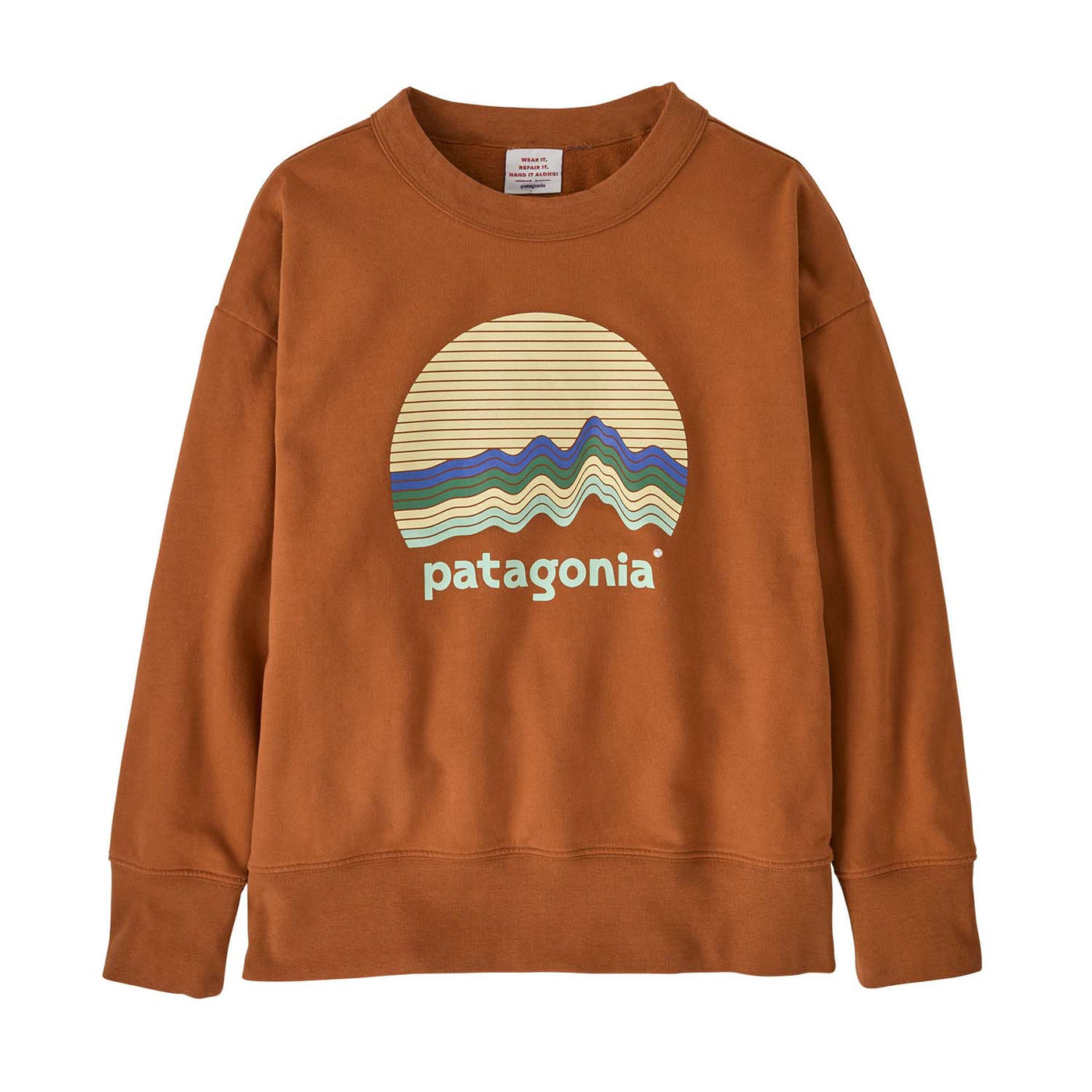 Patagonia Junior's Crewneck Sweatshirt 2025 RMTR RIDGE RISE MOONLIGHT: ROBIN BROWN