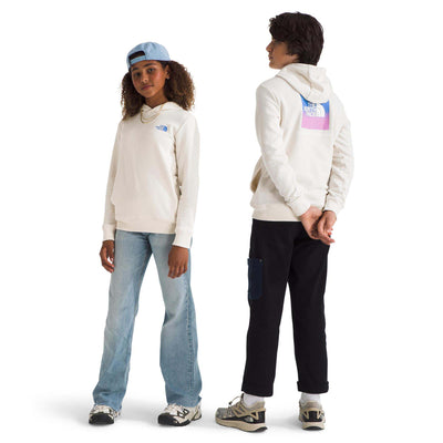 The North Face Junior's Box NSE Pullover Hoodie 2025