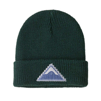 Patagonia Junior's Logo Beanie 2025 DPCA DRIFTWAYS PATCH/CASCADE GREEN