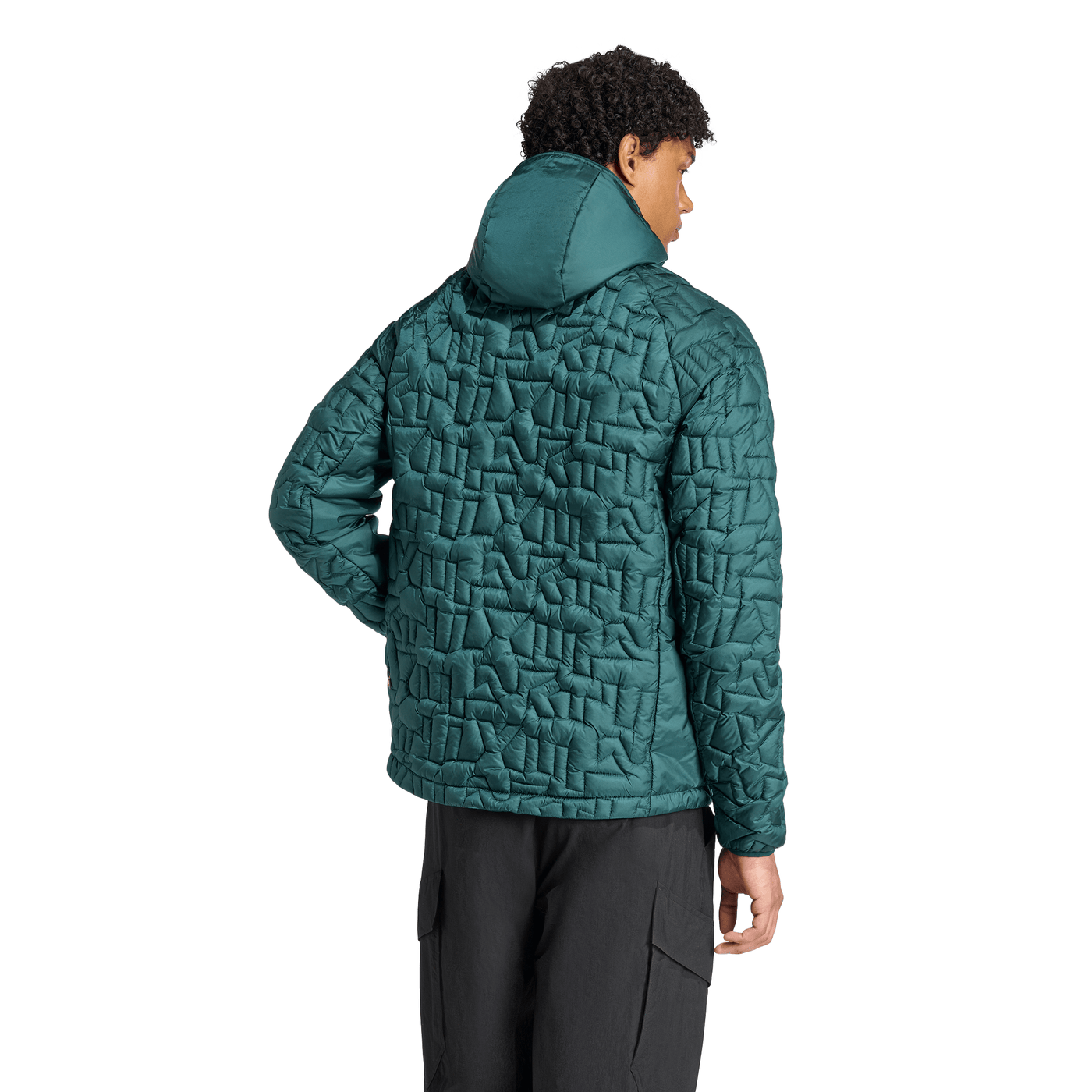 Adidas Men's Terrex Xperior PrimaLoft Loose Fill Insulated Hooded Jacket 2026