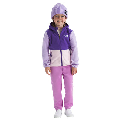 The North Face Toddler's Glacier Full Zip Hoodie 2026