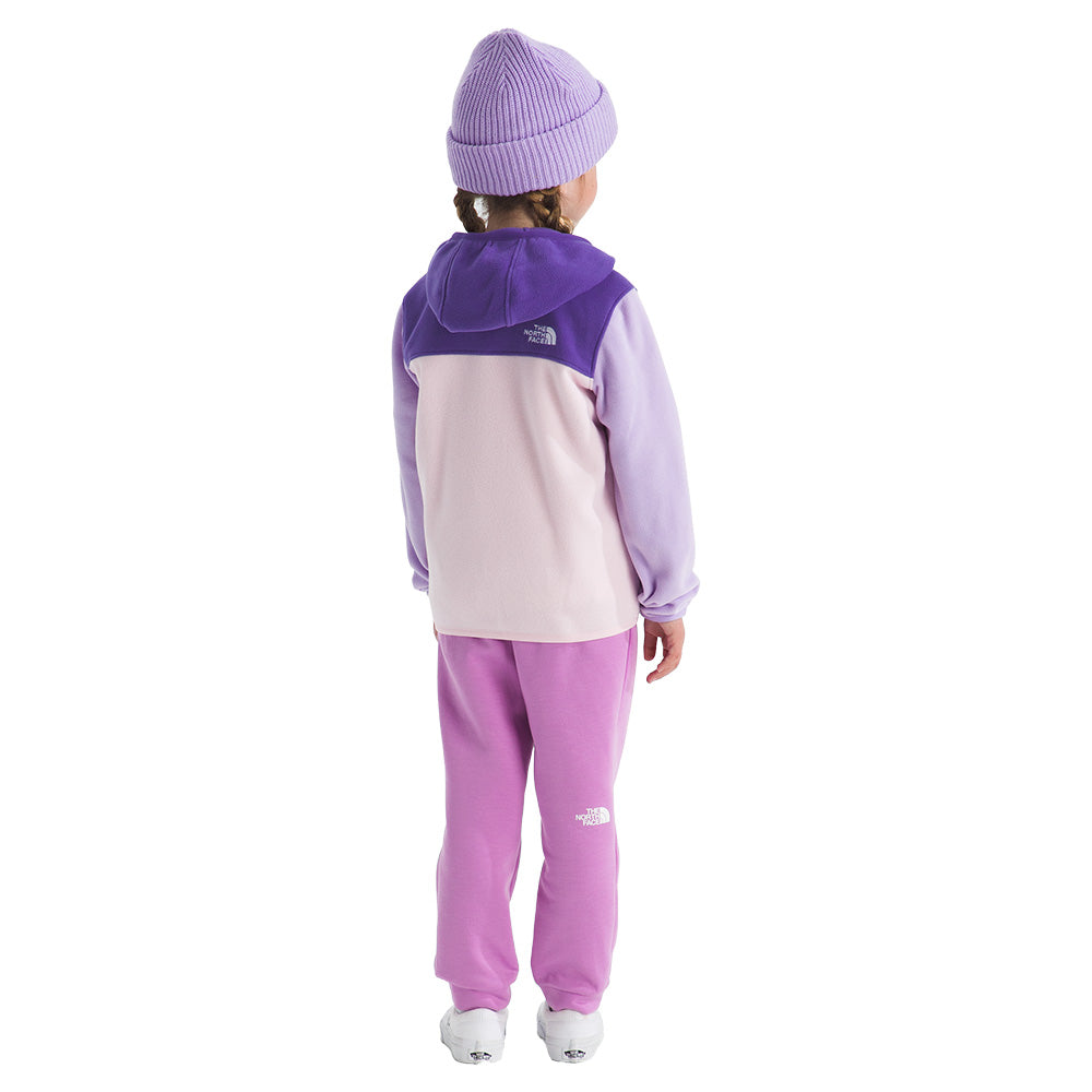 The North Face Toddler's Glacier Full Zip Hoodie 2026