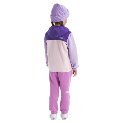 The North Face Toddler's Glacier Full Zip Hoodie 2026