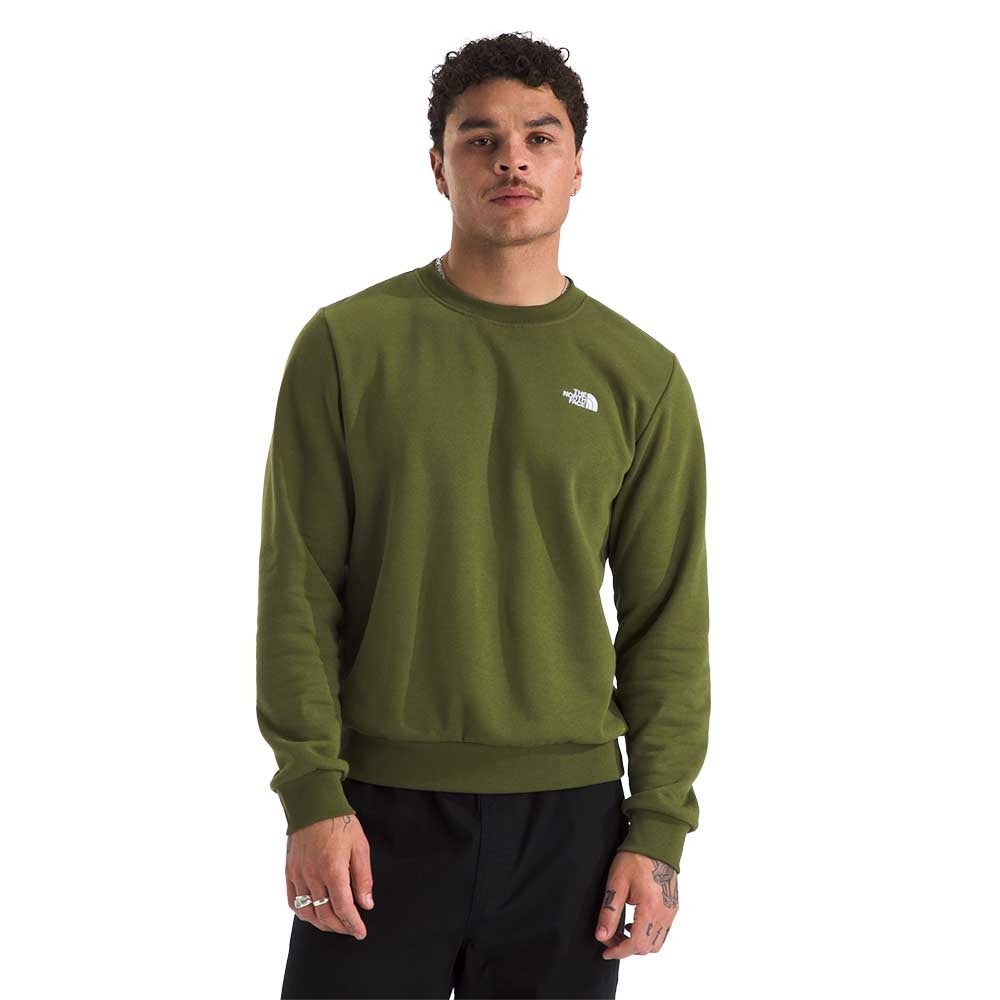 The North Face Men's Evolution Simple Dome Crew 2026 BRI WOODLAND GREEN