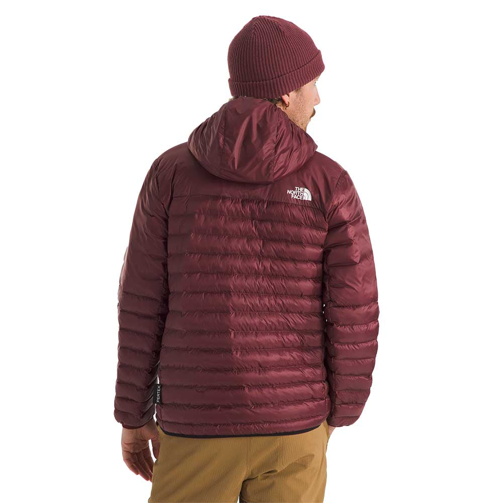 The North Face Men's Terra Peak Hoodie 2026