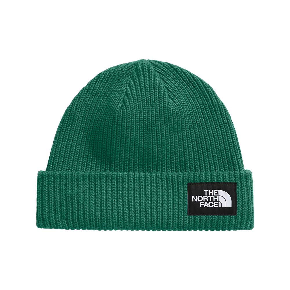 The North Face Salty Lined Beanie 2026 Nl1 Evergreen