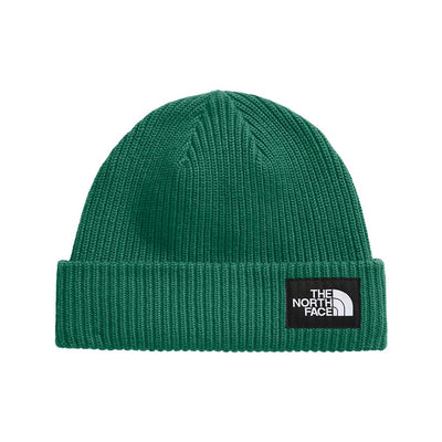 The North Face Salty Lined Beanie 2026 Nl1 Evergreen