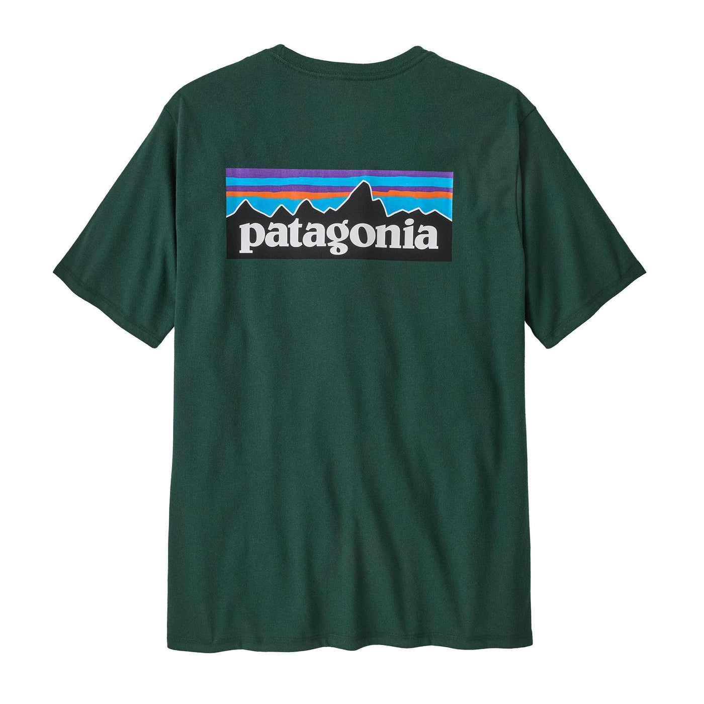 Patagonia Men's P-6 Logo Responsibili-Tee 2025 CASG CASCADE GREEN