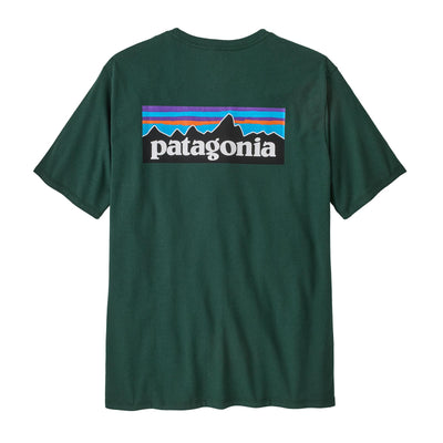 Patagonia Men's P-6 Logo Responsibili-Tee 2025 CASG CASCADE GREEN