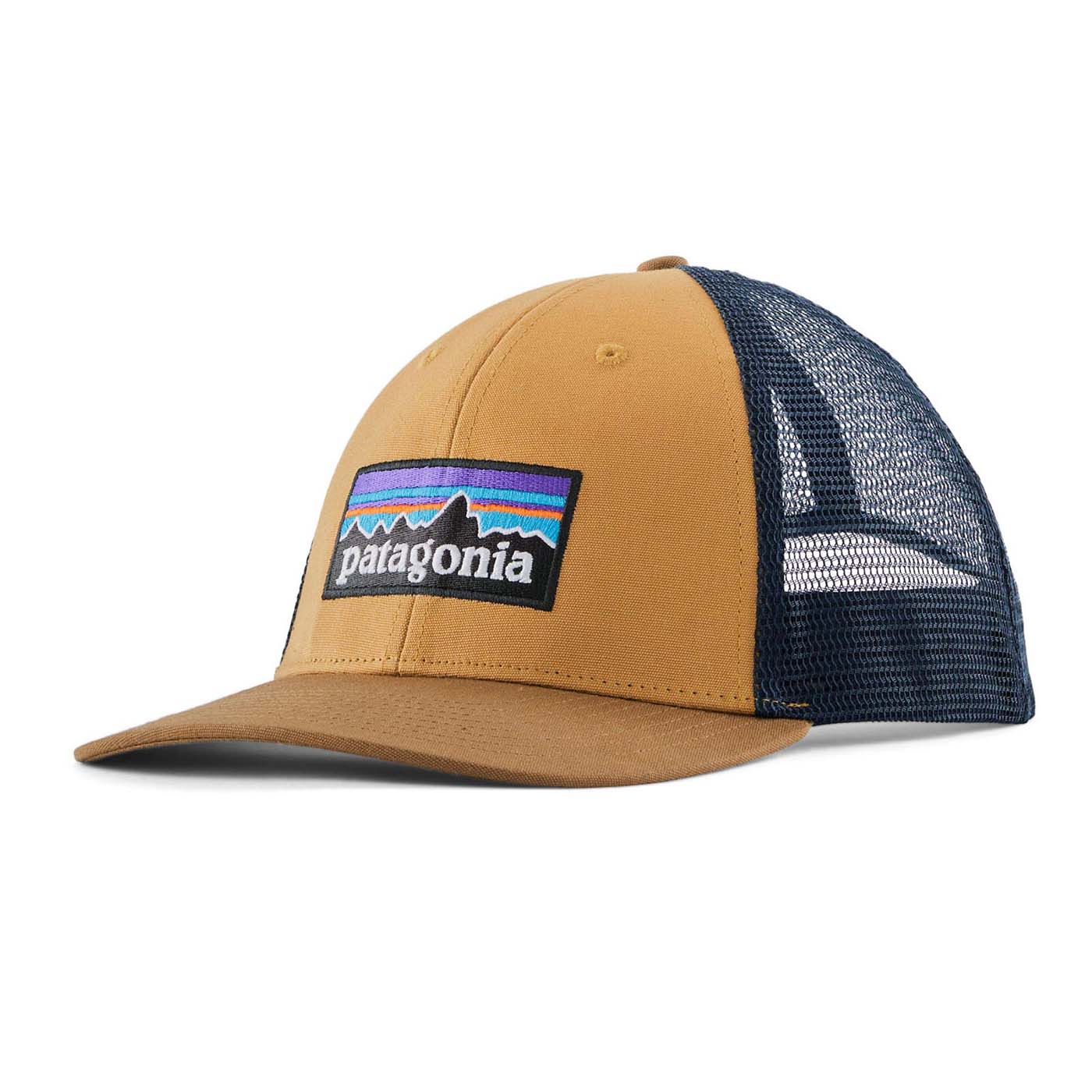 Patagonia P-6 Logo LoPro Trucker Hat 2025