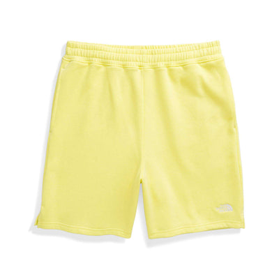 The North Face Men's Evolution Shorts 2025