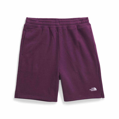 The North Face Men's Evolution Shorts 2025