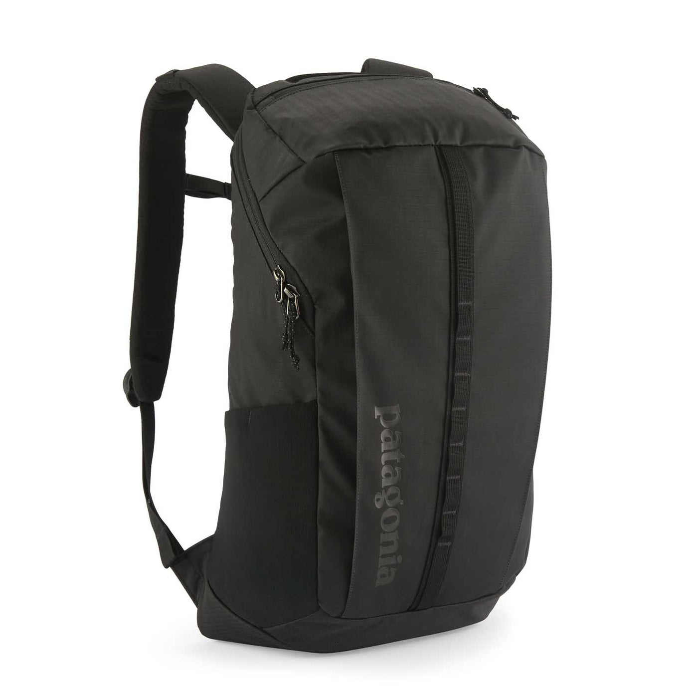 Patagonia Black Hole® Pack 25L 2025 BLACK