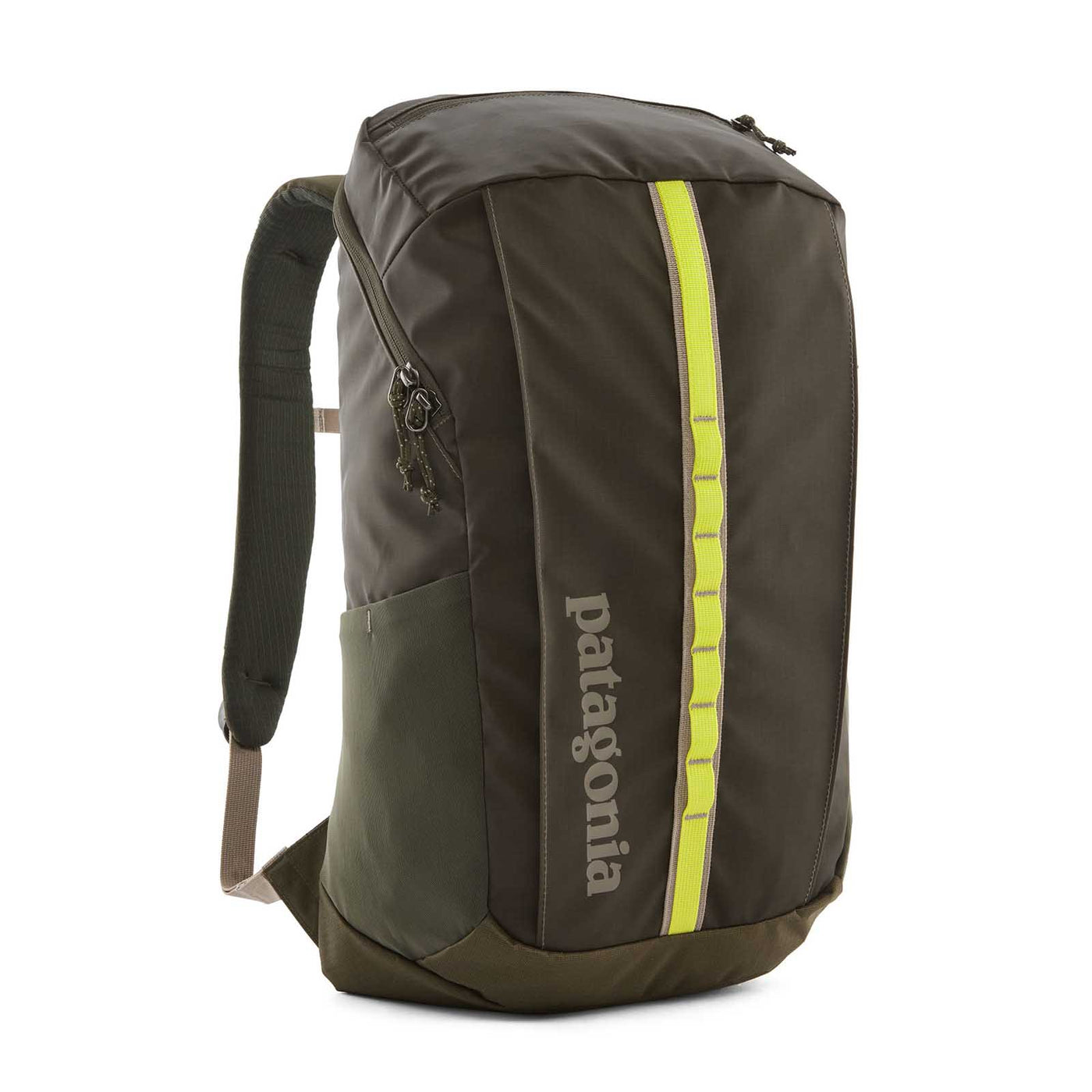 Patagonia Black Hole® Pack 25L 2025 PINE NEEDLE GREEN