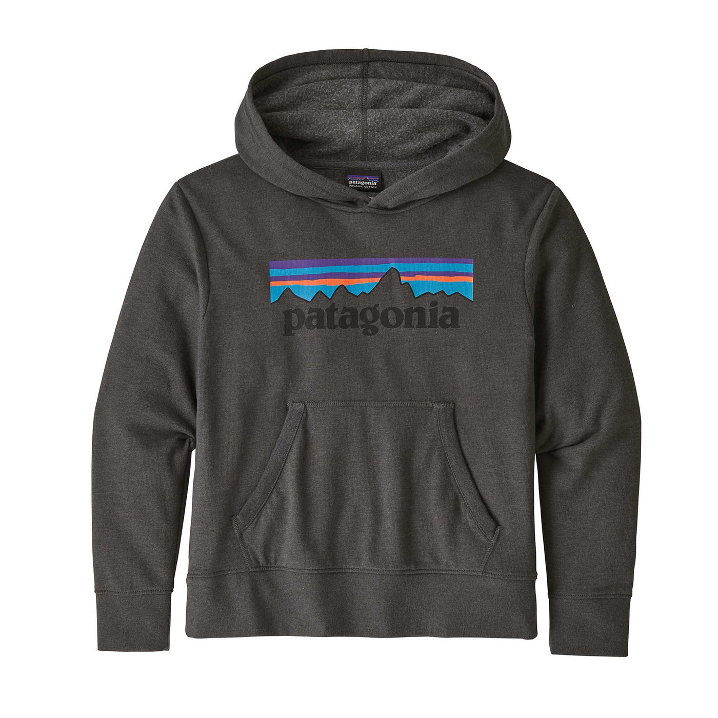 Patagonia Junior's Lightweight Graphic Hoody Sweatshirt 2024 P- LOGO: