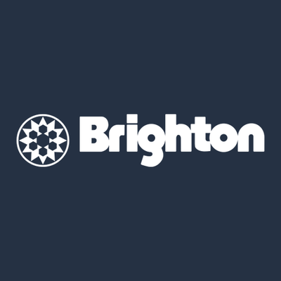 Brighton Adult Hoodie White Chest and Back Logo Navy 