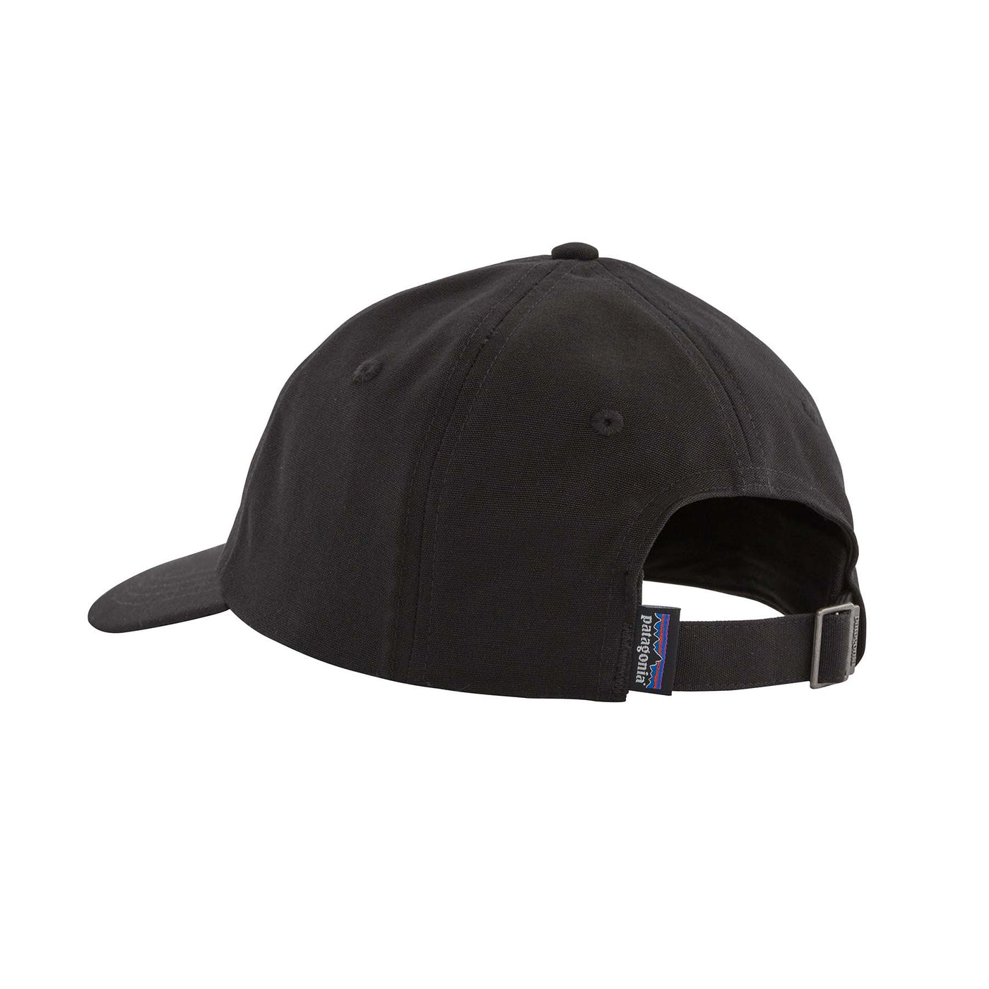 Patagonia P-6 Label Trad Cap 2025 